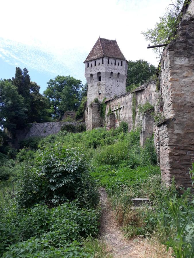 Casa Marcus Leilighet Sighişoara Eksteriør bilde
